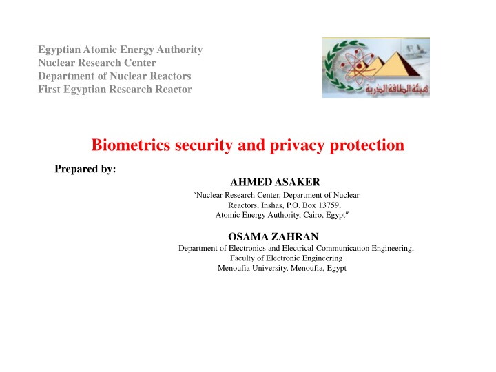 egyptian atomic energy authority nuclear research