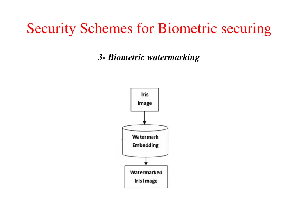 security schemes for biometric securing 1