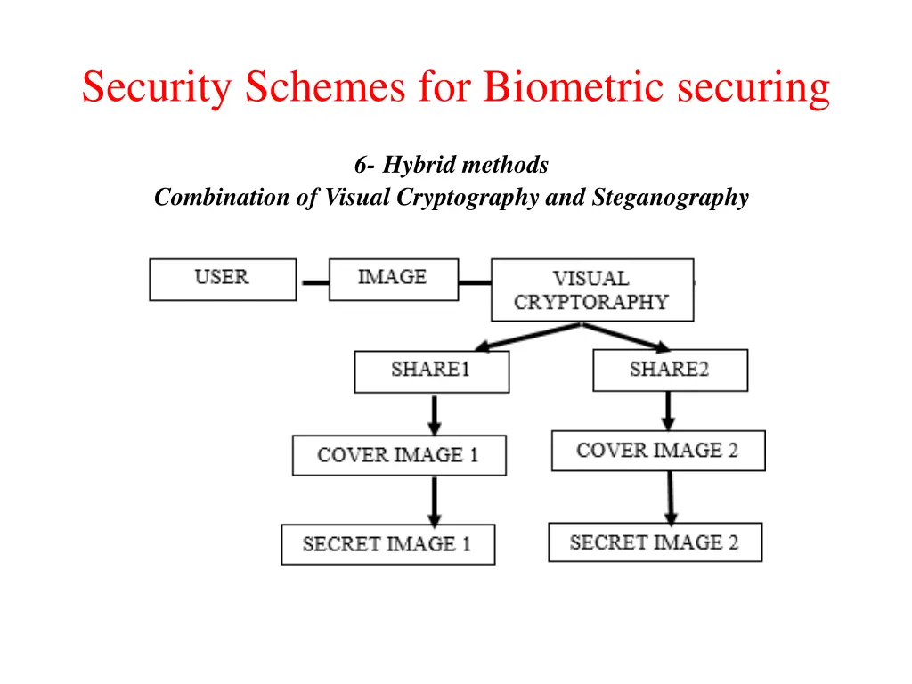 security schemes for biometric securing 3