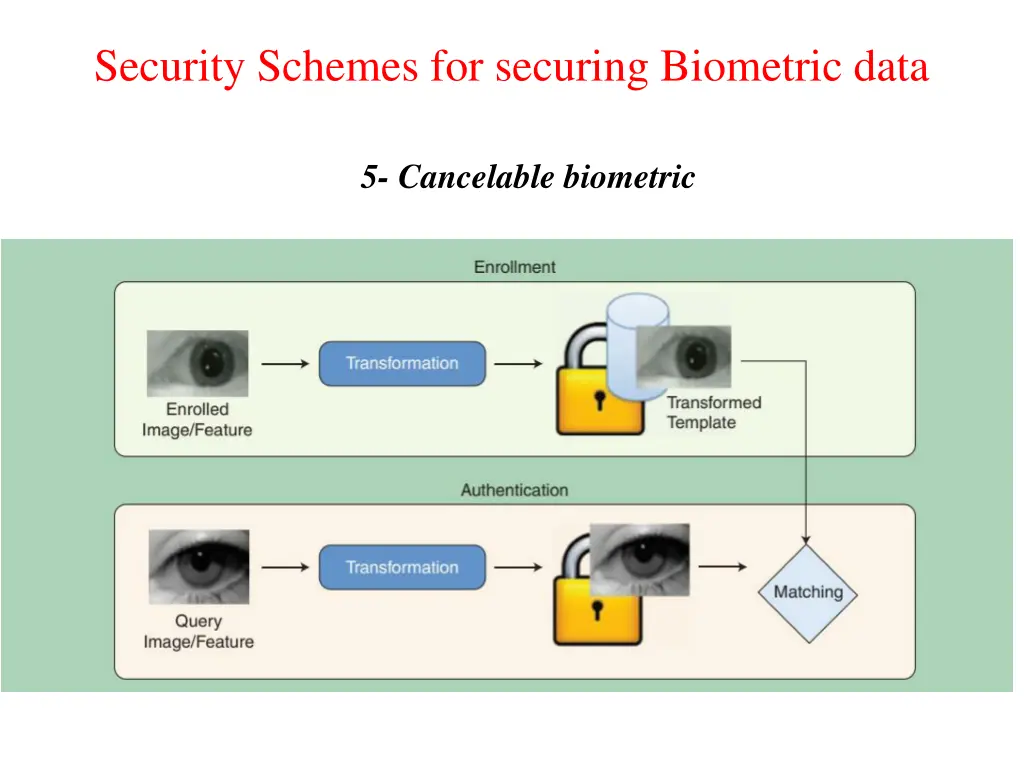 security schemes for securing biometric data