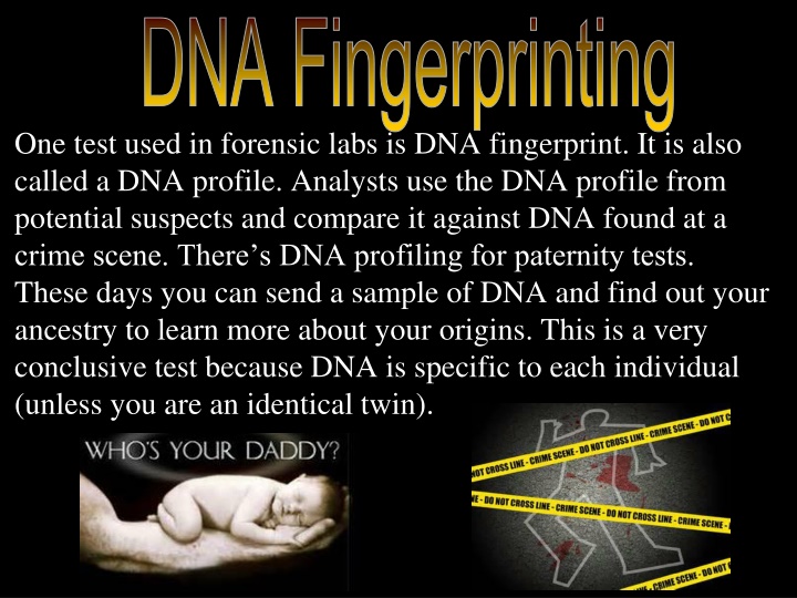 dna fingerprinting