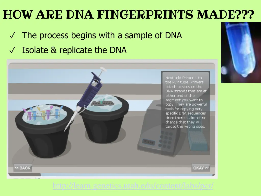 how are dna fingerprints made