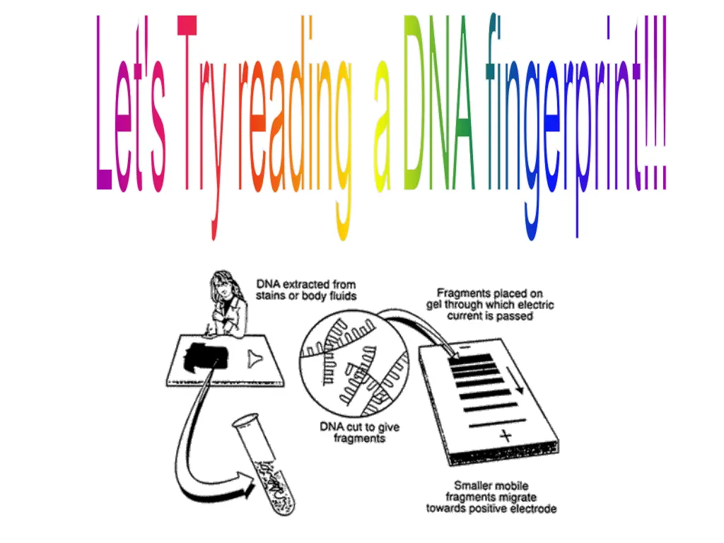 let s try reading a dna fingerprint