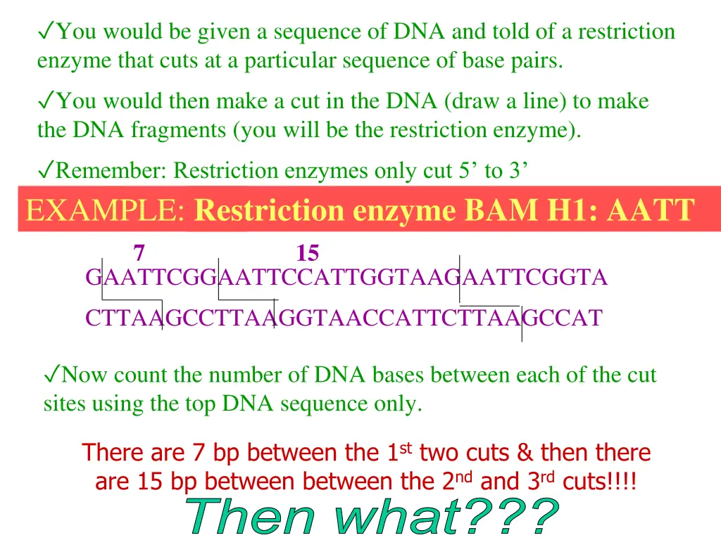 you would be given a sequence of dna and told