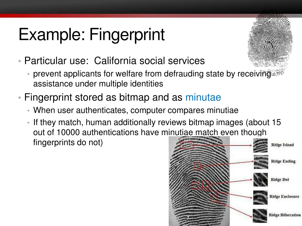 example fingerprint