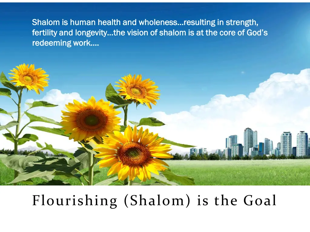 shalom is human health and wholeness resulting