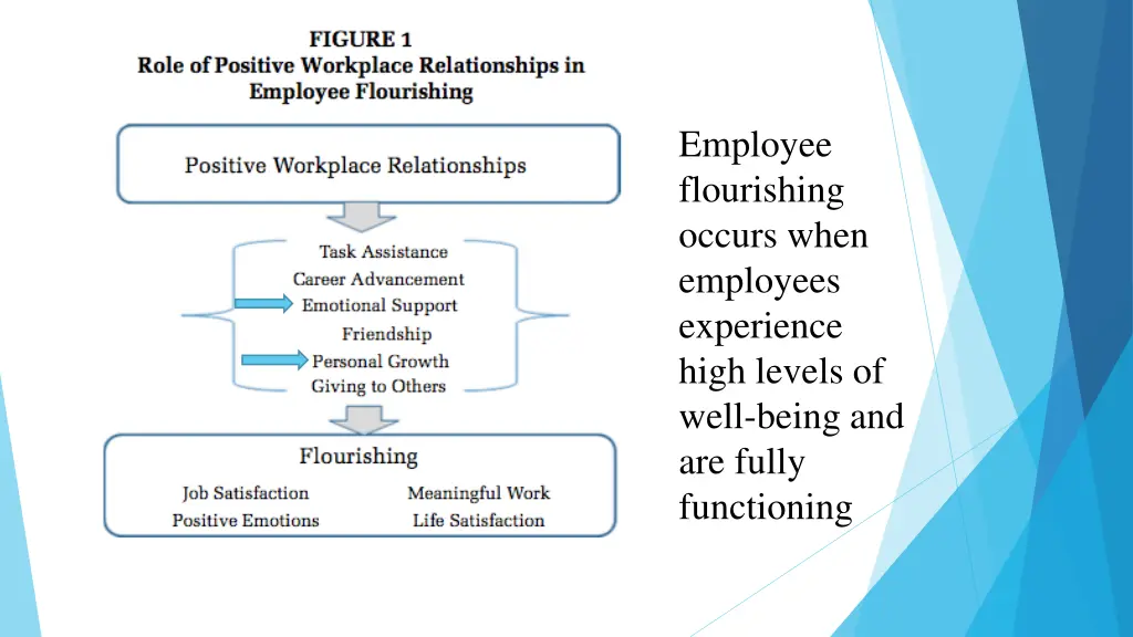 employee flourishing occurs when employees