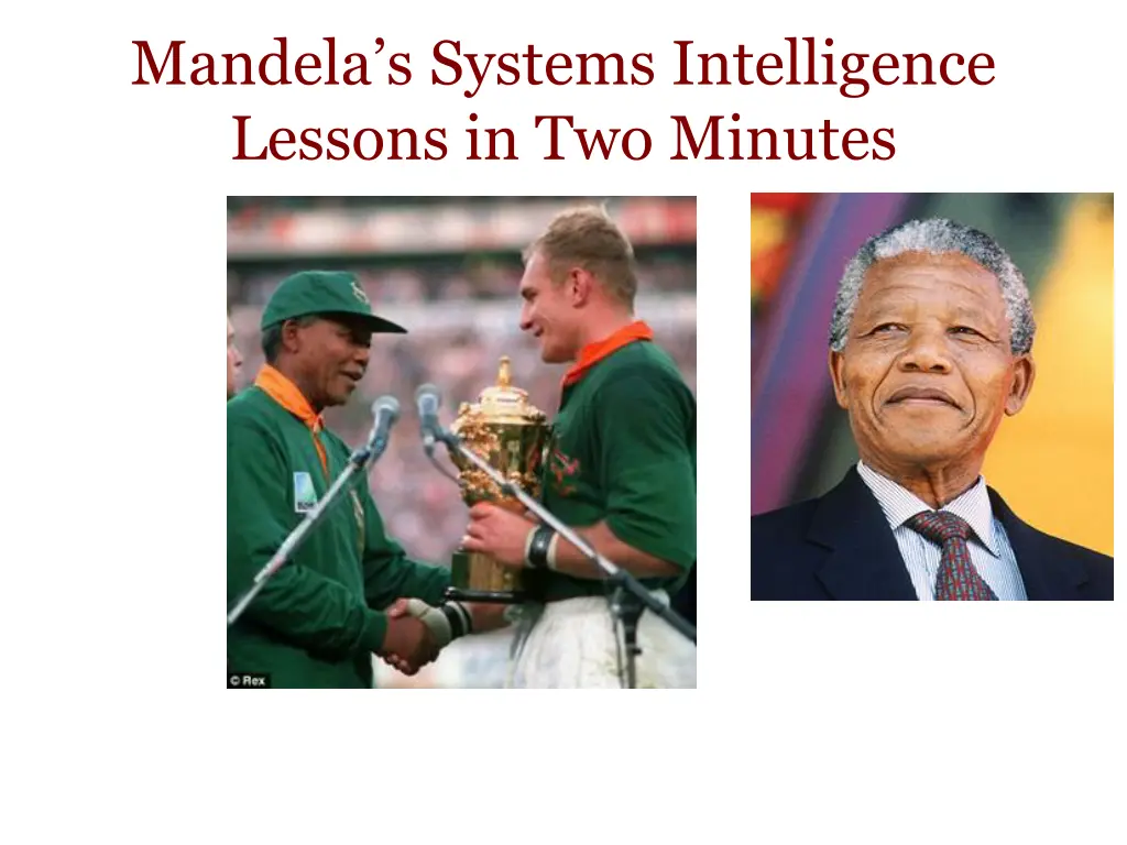 mandela s systems intelligence lessons