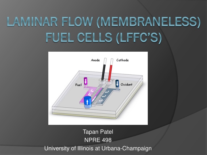 laminar flow laminar flow membraneless