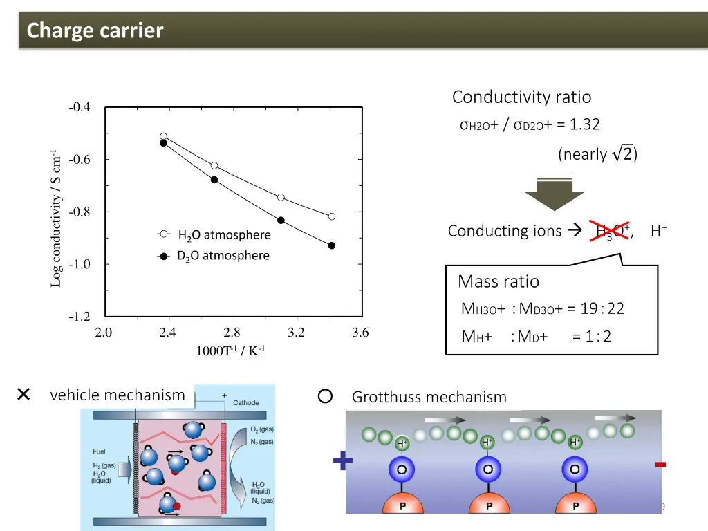 charge carrier