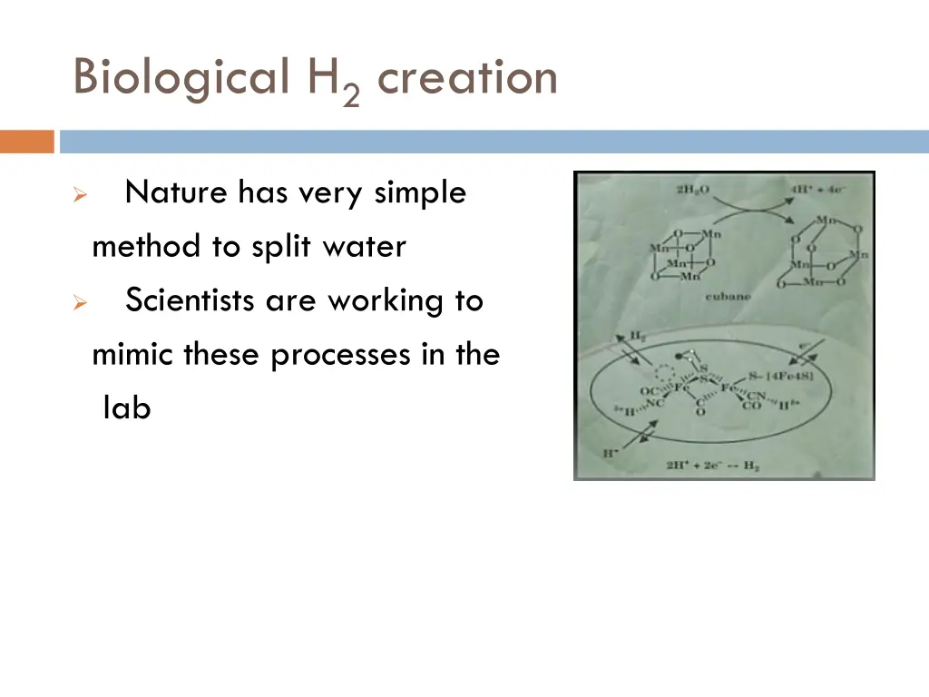 biological h 2 creation