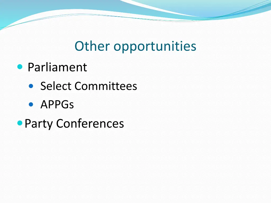 other opportunities parliament