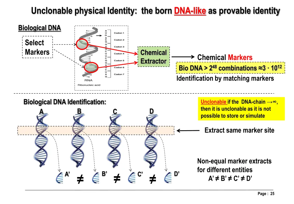 unclonable physical identity the born dna like