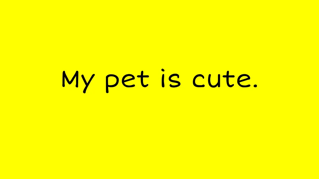 my pet is cute