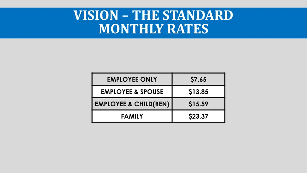 vision the standard monthly rates