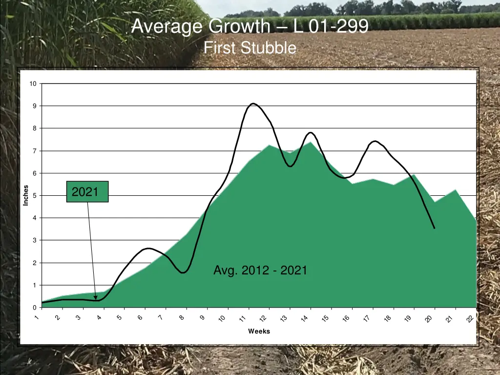 average growth l 01 299 first stubble