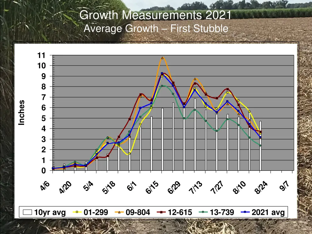 growth measurements 2021 average growth first