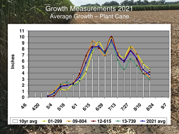 growth measurements 2021 average growth plant cane