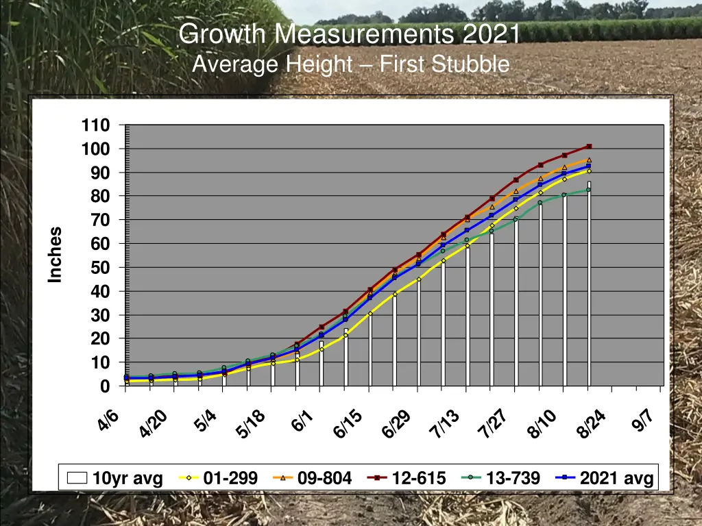 growth measurements 2021 average height first