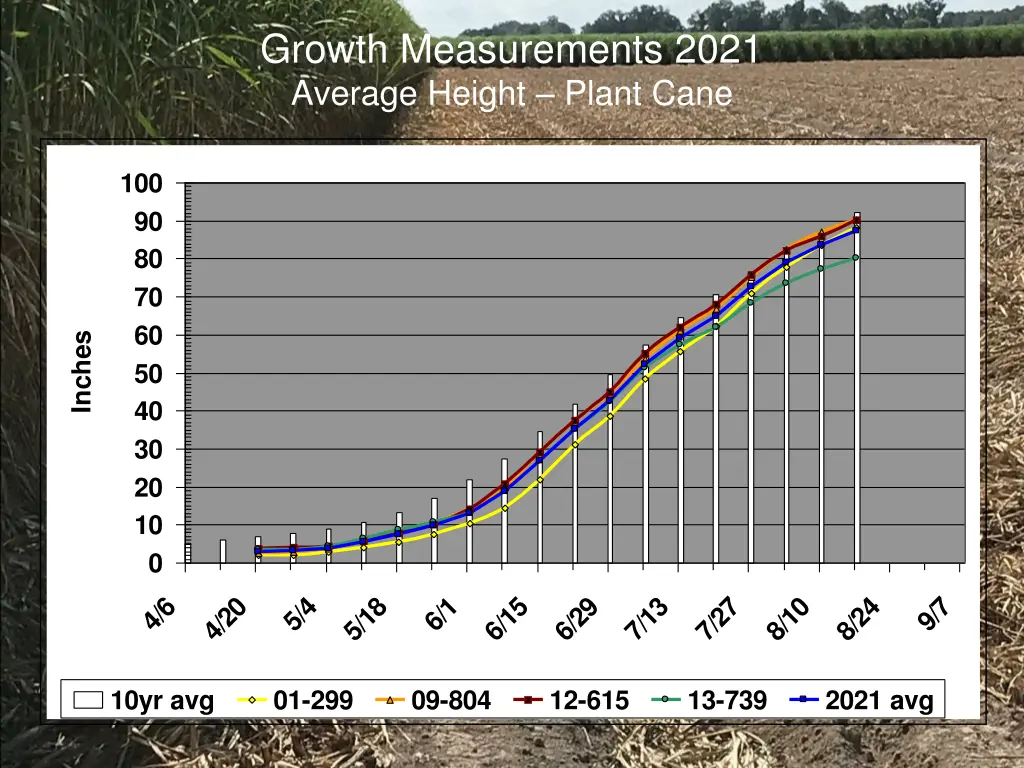 growth measurements 2021 average height plant cane