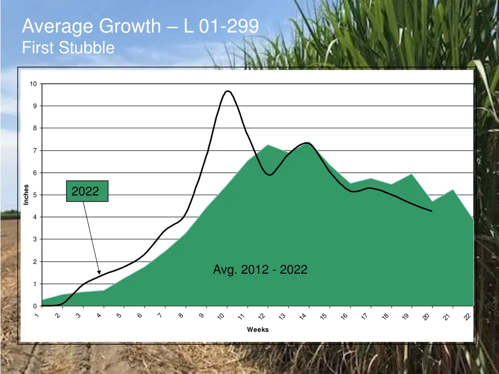 average growth l 01 299 first stubble