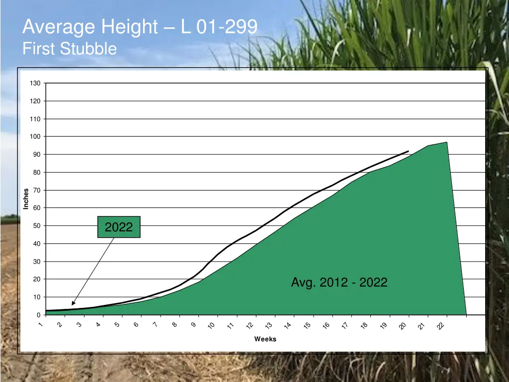 average height l 01 299 first stubble