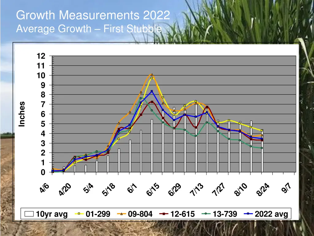 growth measurements 2022 average growth first