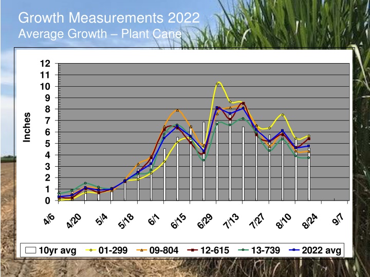 growth measurements 2022 average growth plant cane