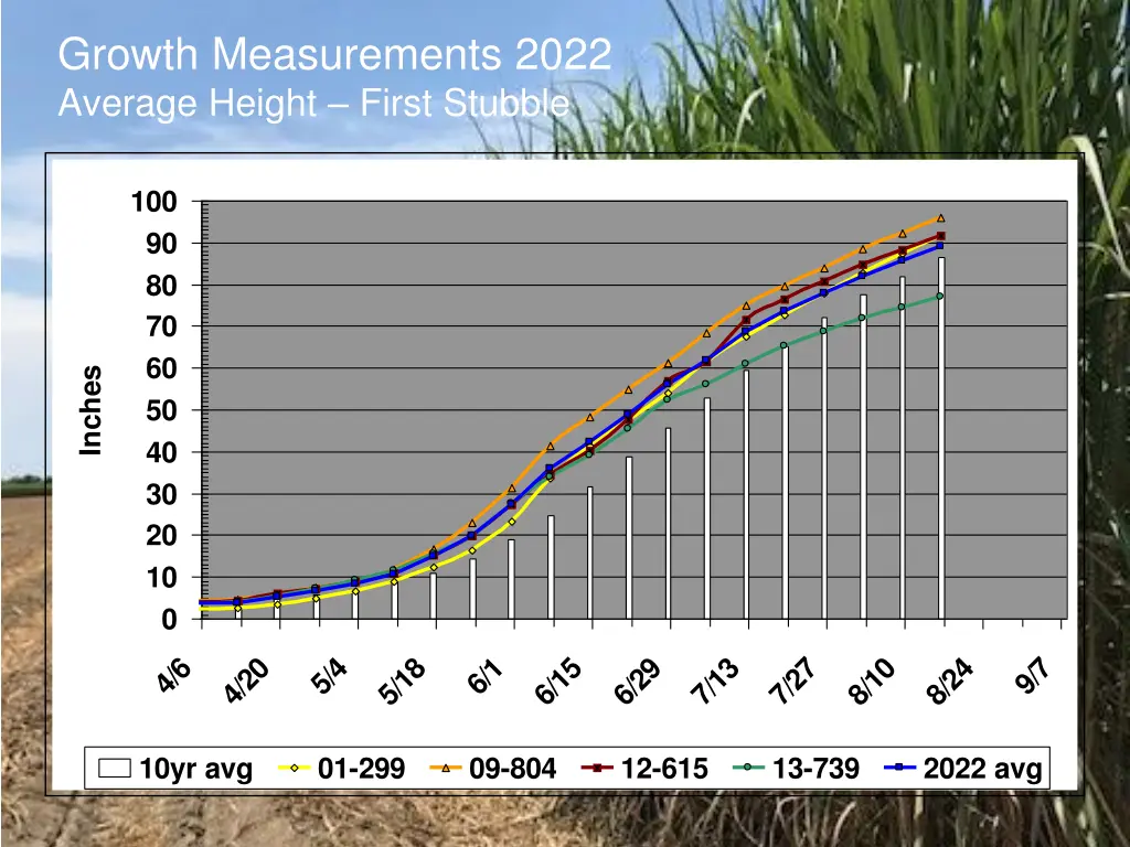 growth measurements 2022 average height first