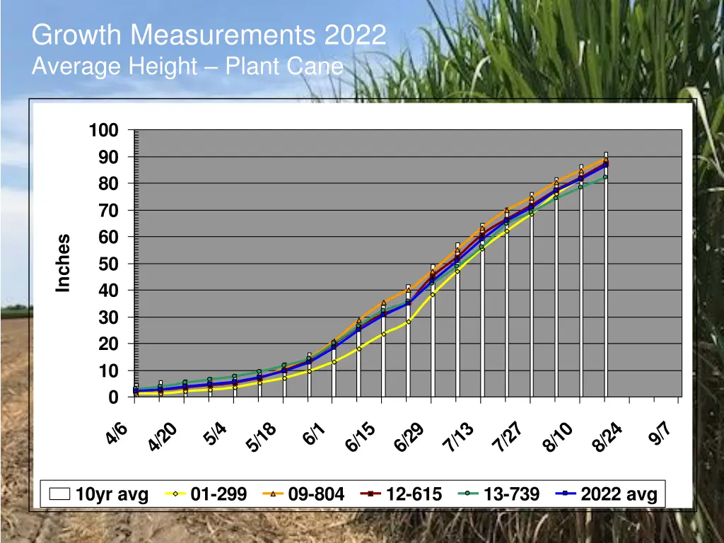 growth measurements 2022 average height plant cane