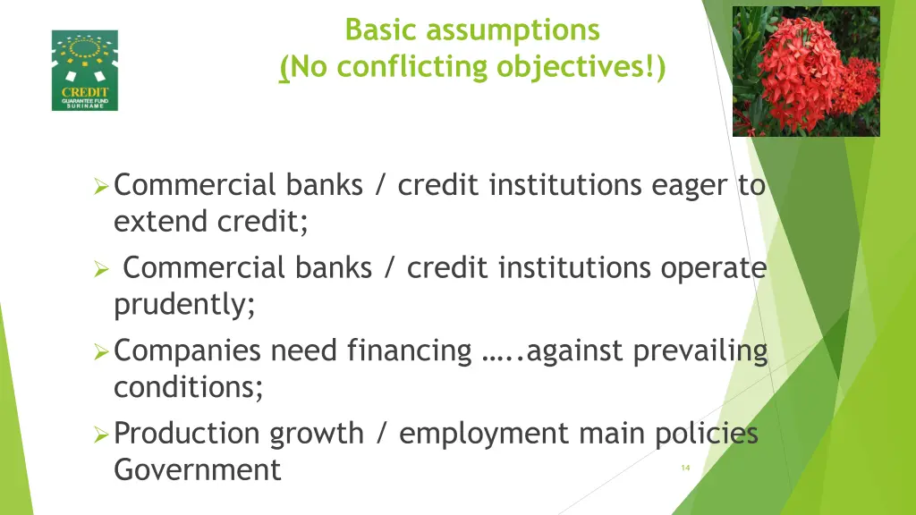 basic assumptions no conflicting objectives