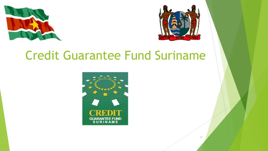 credit guarantee fund suriname