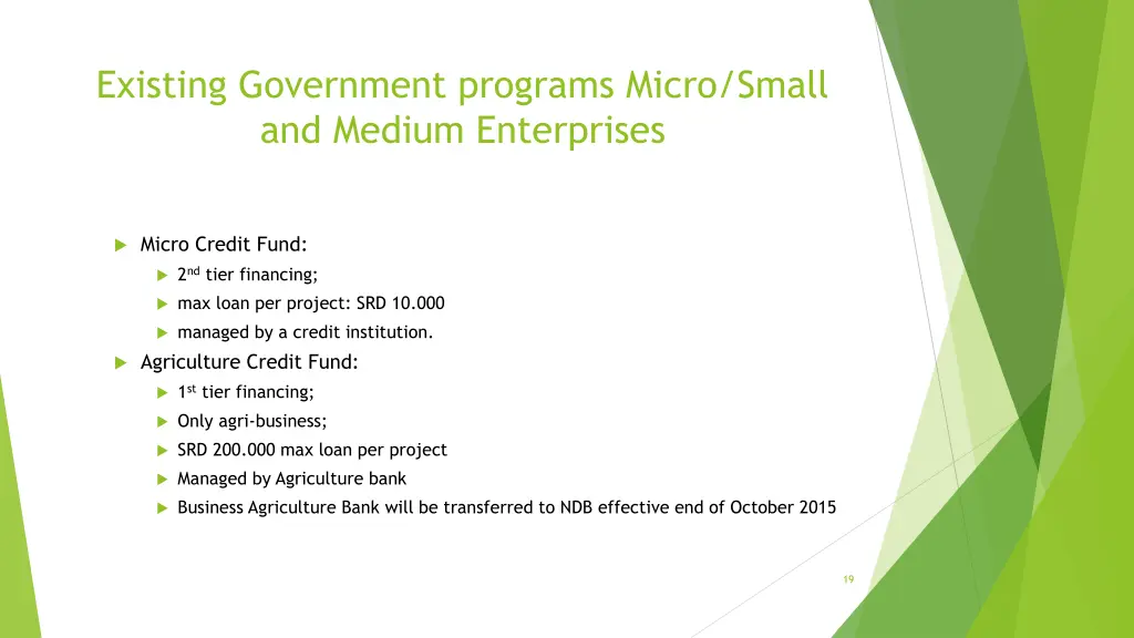 existing government programs micro small