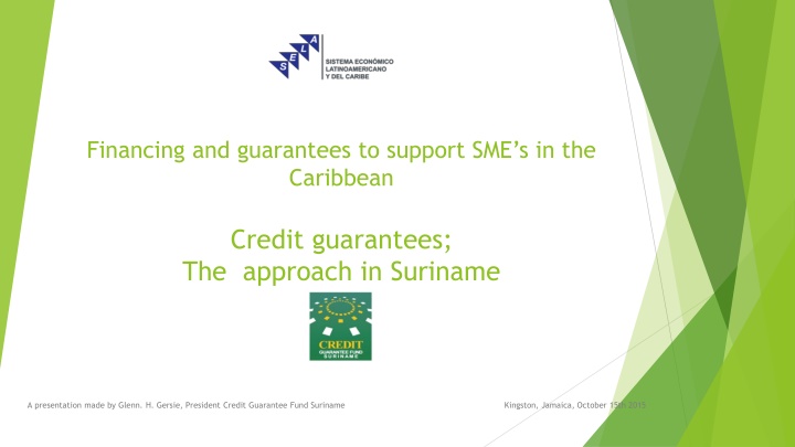 financing and guarantees to support