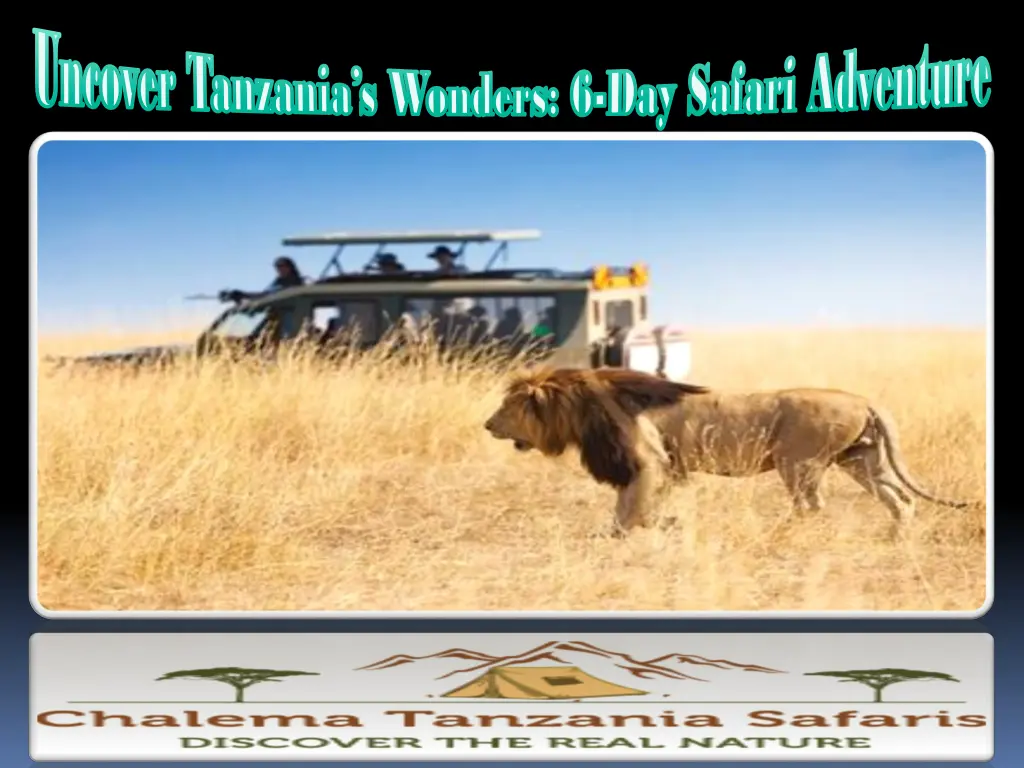 uncover tanzania s wonders 6 uncover tanzania 2