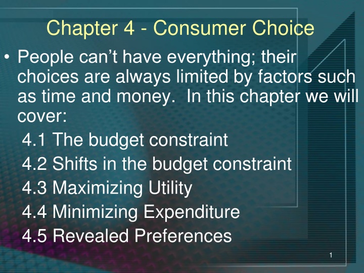 chapter 4 consumer choice people can t have