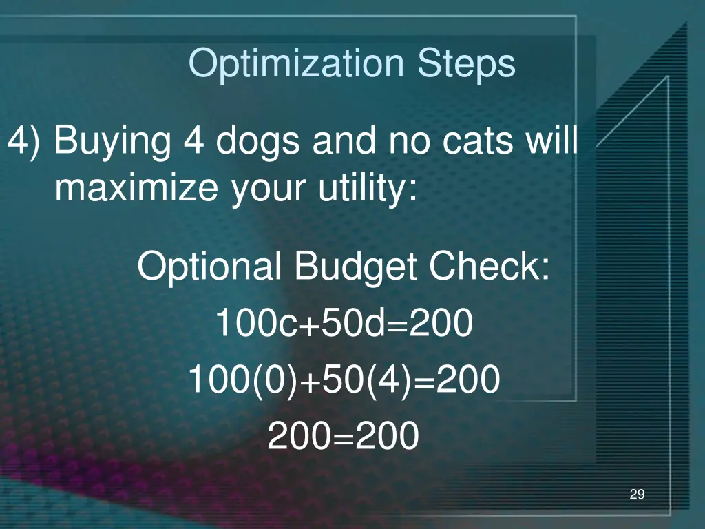 optimization steps 5