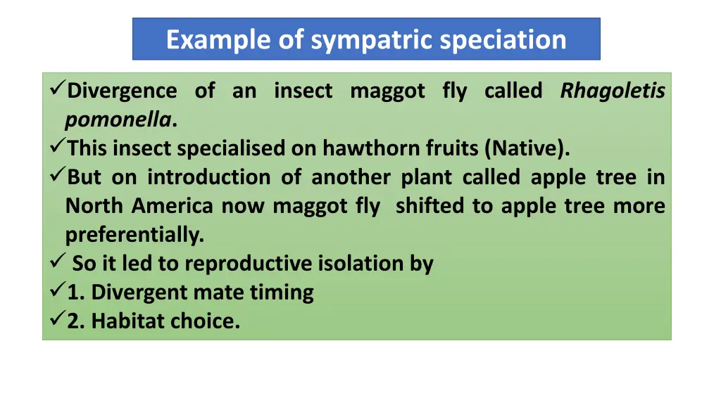 example of sympatric speciation