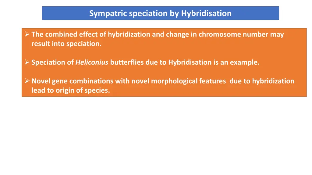 sympatric speciation by hybridisation