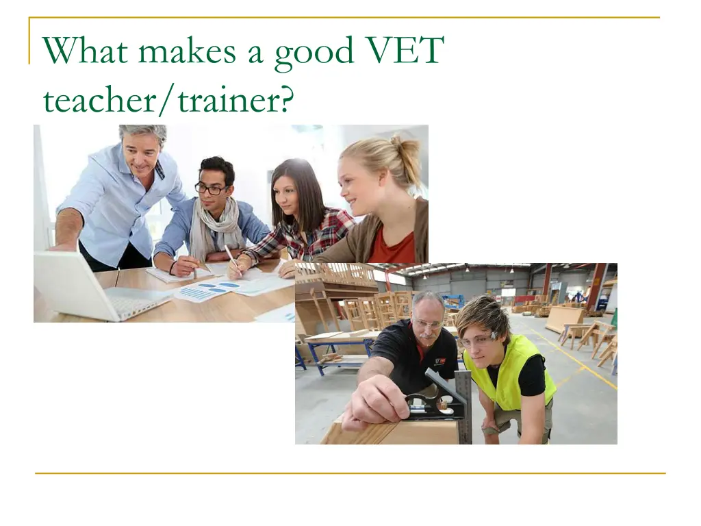 what makes a good vet teacher trainer