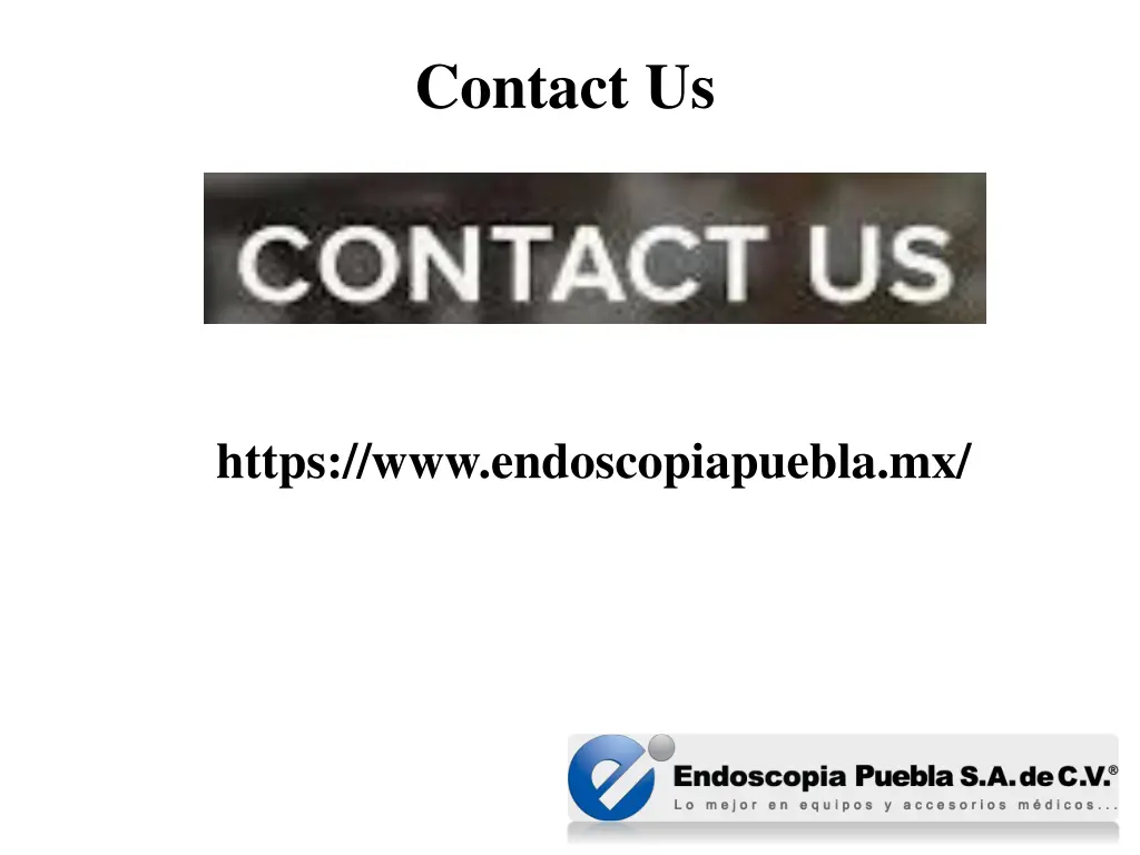 contact us