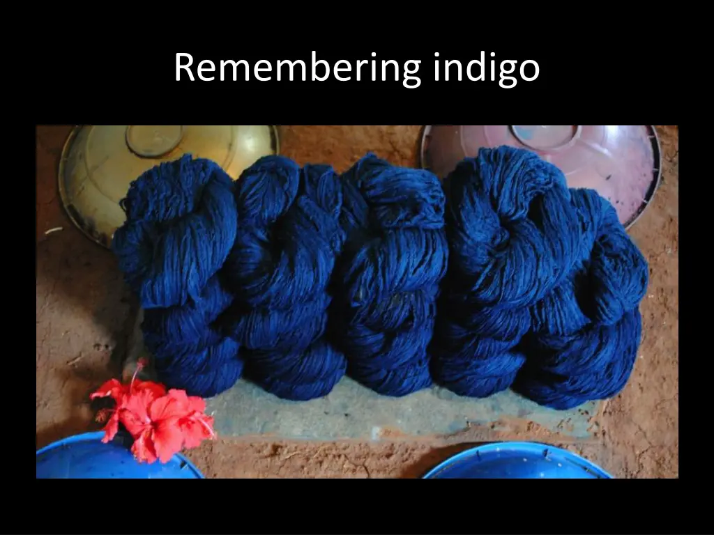 remembering indigo