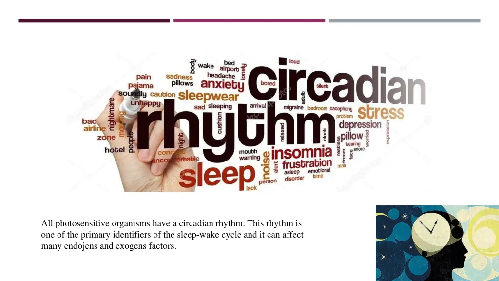 all photosensitive organisms have a circadian