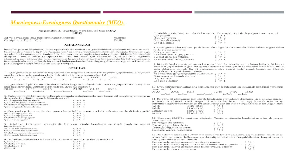 morningness eveningness questionnaire meq