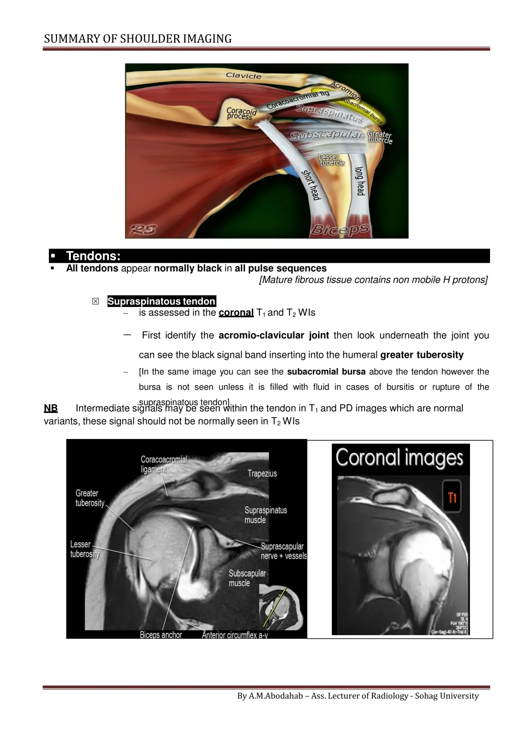 summary of shoulderimaging 2