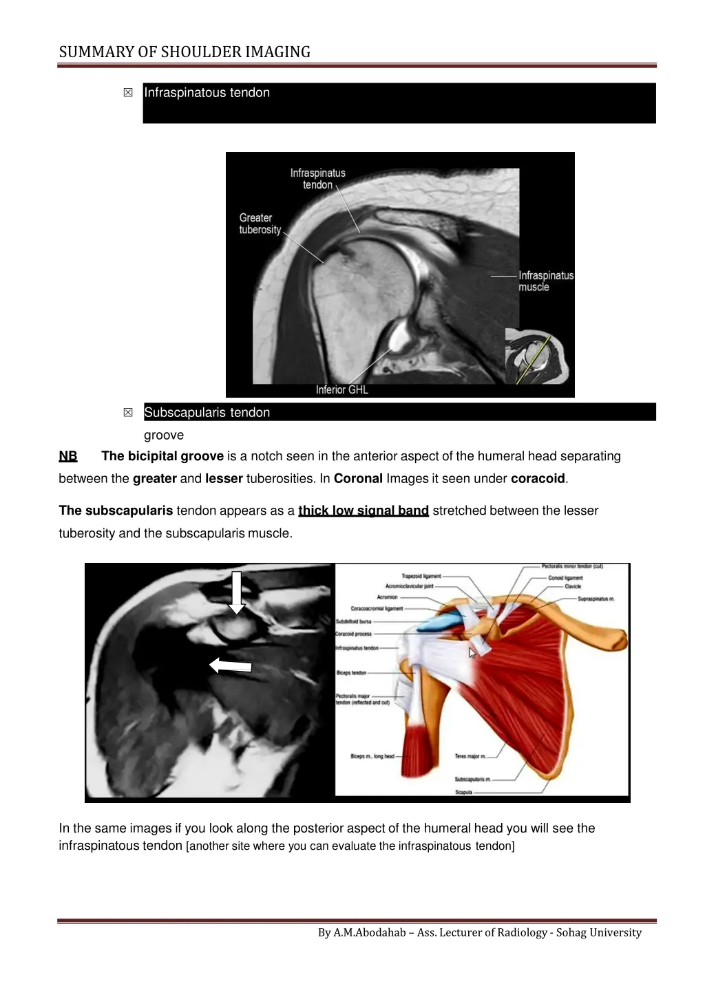 summary of shoulderimaging 3