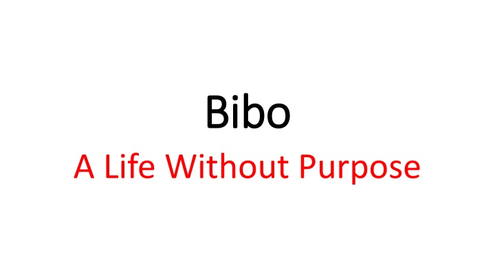 bibo bibo