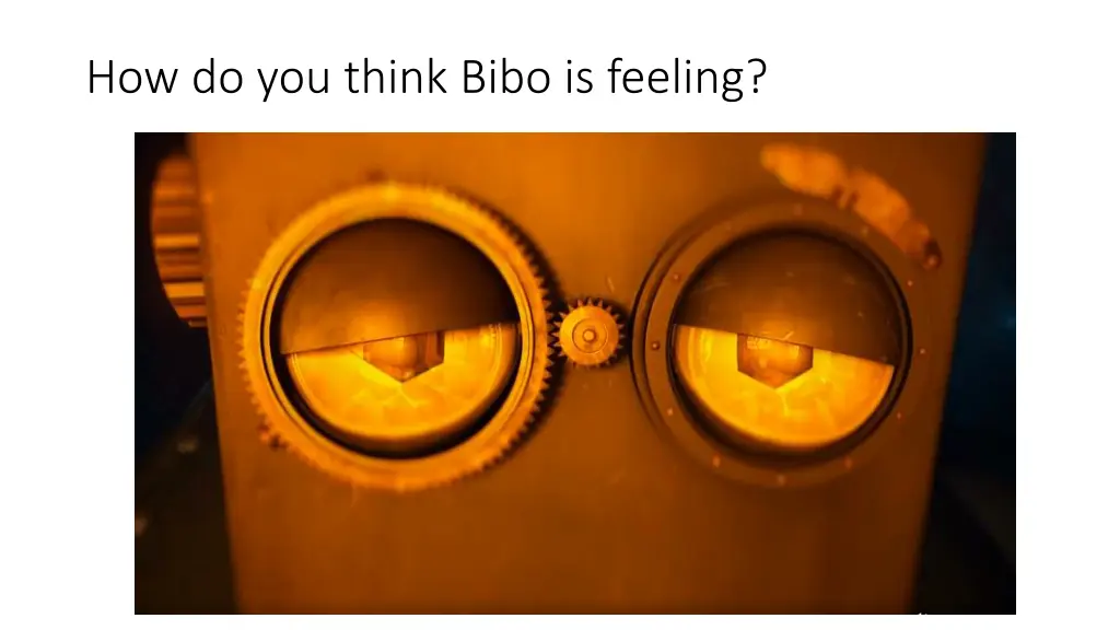 how do you think bibo is feeling