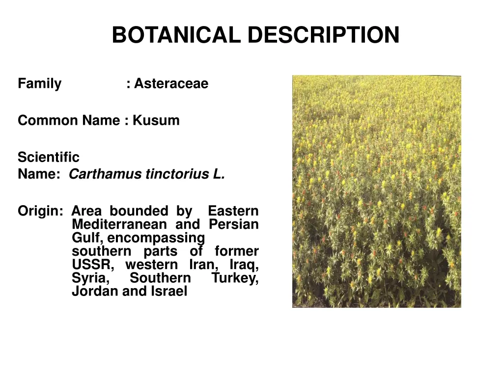 botanical description