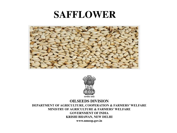 safflower